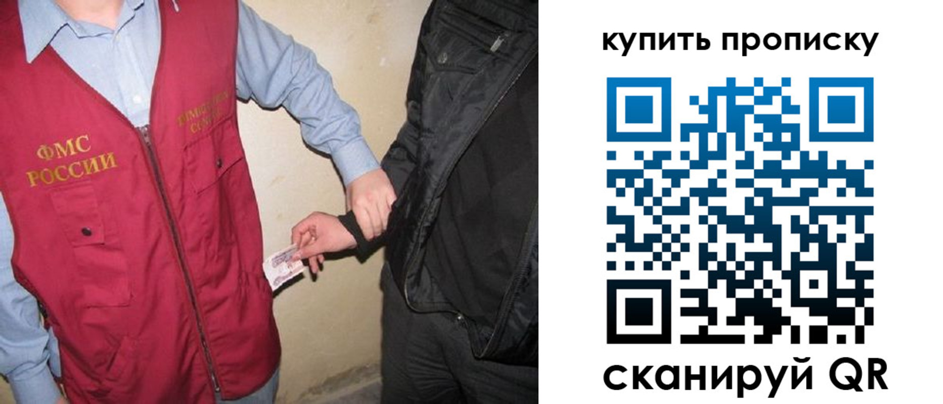 регистрация для школы в Дмитрове